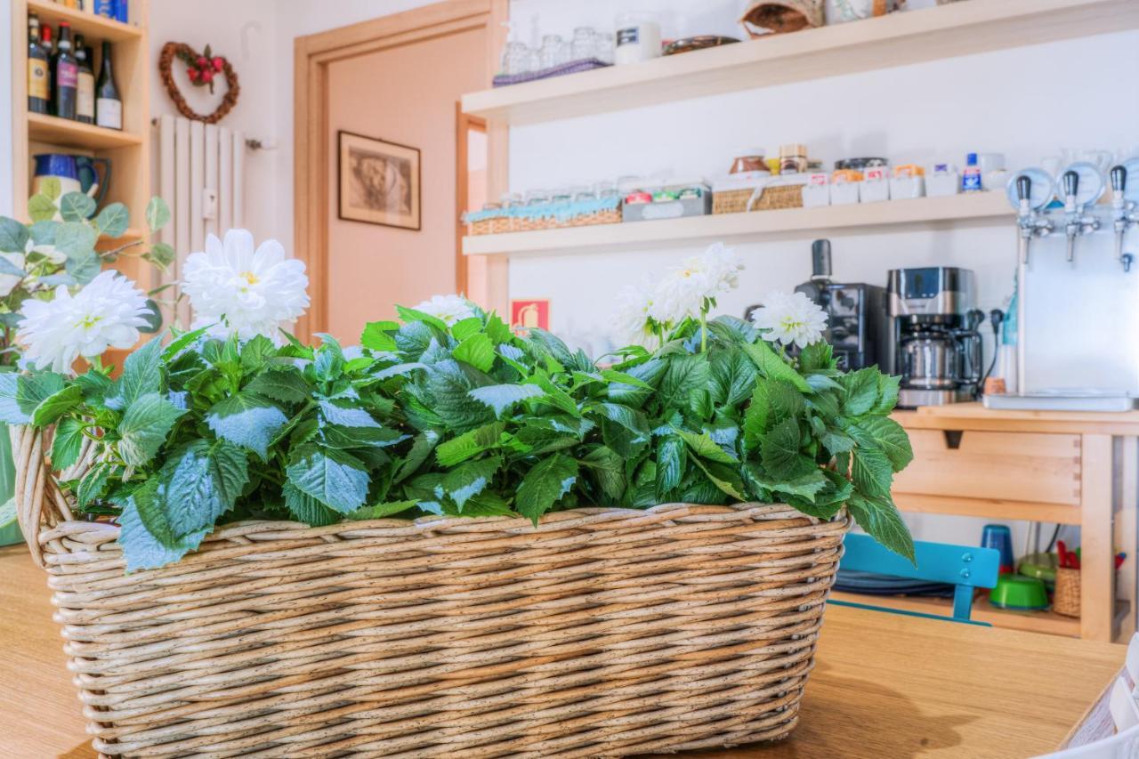 La Casa Sul Mare Bed & Breakfast Civitavecchia Luaran gambar